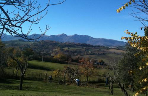 Villa Arzilla - Foto 13