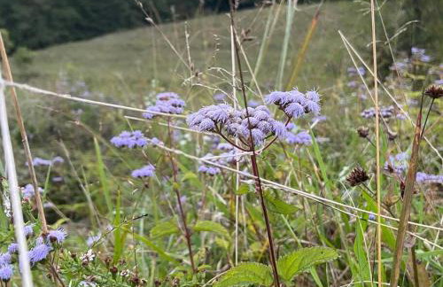 Sleeps 5-6 Near RRG-Hot Tub-Nice Sunrise-Quiet - Foto 66