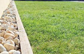 L'avocette Gîtes de la réserve - Foto 8