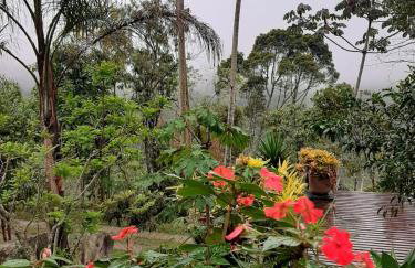 Chalé Pakere Bellavista - visão magnífica do vale e montanhas a mais de mil metros de altitude, wi-fi, sauna, piscina e água de nascente - locação do chalé sem prestação de serviços - Foto 54