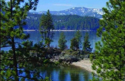 Little Cabin in the Woods. - Foto 46