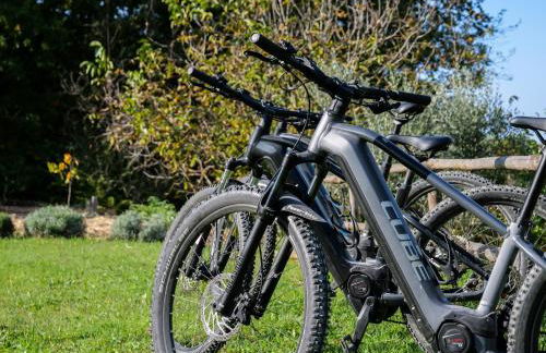 Oltrebosco Casa Vacanze - Foto 14