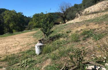 L'Olivier Fleurie Barjols - Foto 65