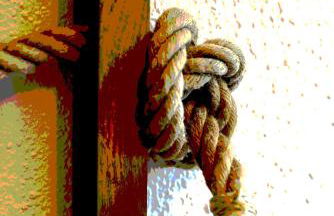 Ferienwohnung Seestern - Foto 20