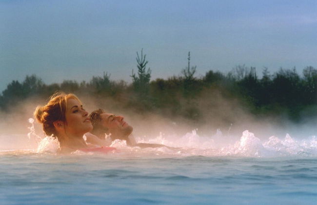 Restyled Wooden Lodge Near the Maasduinen - Foto 18