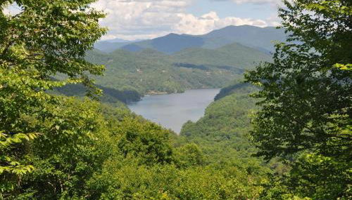 A Treehouse View Over Lake - Foto 4