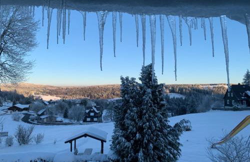 Rennsteig-Pension Trautwein - Foto 22