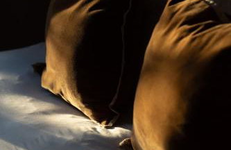 Traditional Cornish Cottage & Garden Redruth - Photo 45