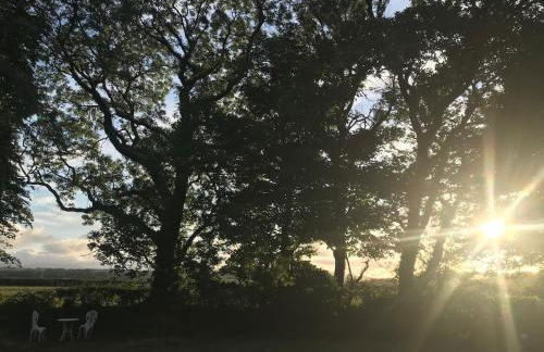 Cwtch Ffynnone Luxury Shepherds Hut - Foto 15