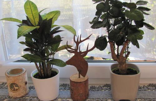 #1Gemütliches ruhiges sonniges Balkonzimmer mit Gemeinschaftsbad W-Lan Airport nah Late Night Check in Haus Nr 9,5 - Foto 17