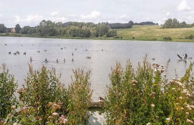 4 Star Holiday Home in Faaborg - Foto 28