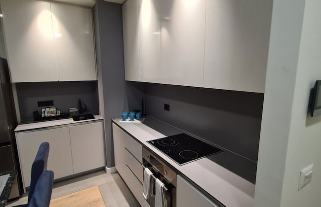 Belgrade Waterfront Tower View - Foto 11