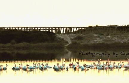 Salentin Home - SunRelax - Foto 27