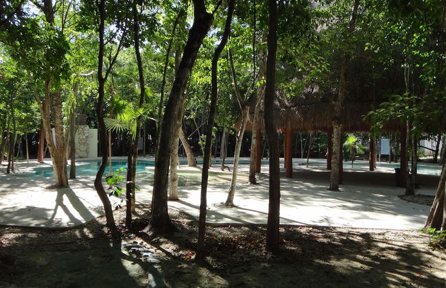 Tropical Paradise Apartment - Photo 26