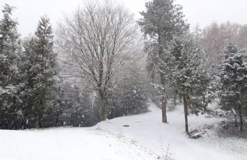 Ondarbaso Apartamentos Rurales III - Foto 28