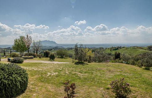 Blue Cherry - Foto 37