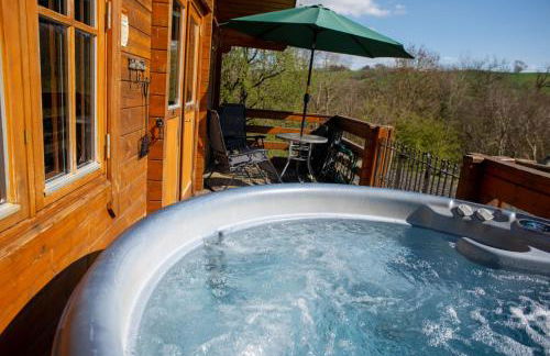 George Cabin - Log Cabin in Wales with Hot tub - Foto 9