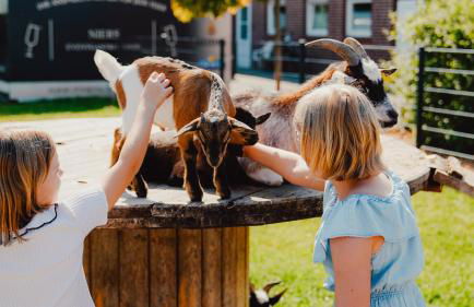 Natursee-Chalet,Spa mit Hot Tub,Jacuzzi,Sauna,Ponyhof,angeln - Photo 45