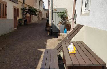 Zauberhafte Wohnung in der Nähe von Heidelberg, top Lage - Foto 22