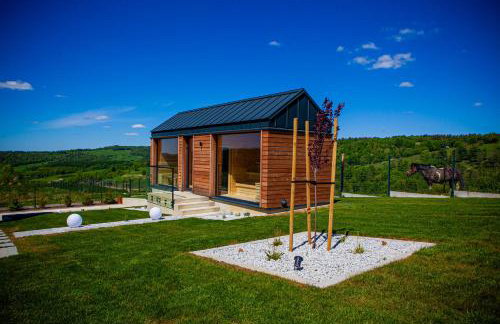 Bieszczady , Sadyba na Lipowcu - Foto 28