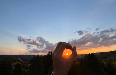 Domki Winnica Maria Anna - Foto 9