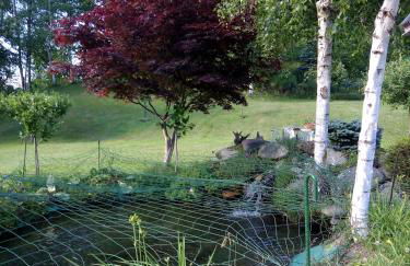 Chalet del Laghetto - Photo 19