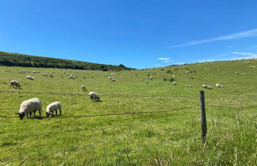 Garden Flat in West Lulworth - Foto 29