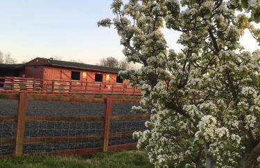 Farmhouse Apartment with Paddock & Orchard Views - Foto 7