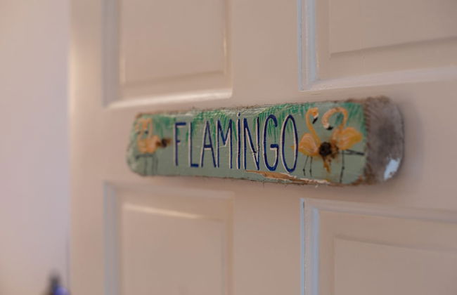 JT Apartments Jan Thiel - Foto 8