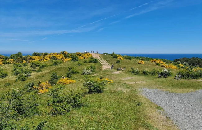 Appartements Post Hiddensee in Vitte - Foto 25