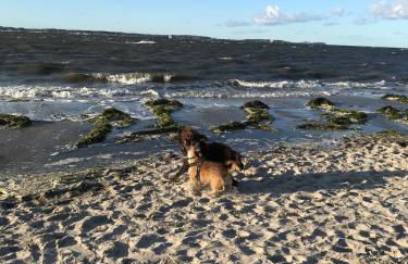 Meeresbrise - Foto 24