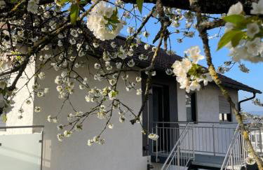 Panoramablick Ferien- und Monteurwohnung OG - Foto 16