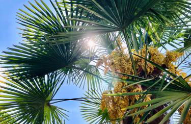 - Zuhause im Weilerblick - - Foto 9