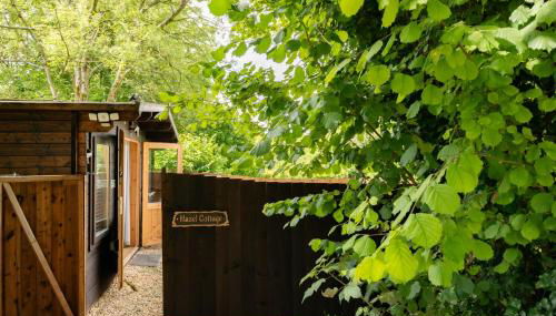 Hazel Tree Hut - Cosy Woodland Cabin with Private Hot Tub - Foto 2, Garden, Garden view