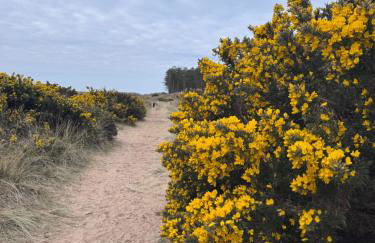 Galwad y Môr - Foto 37