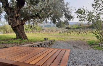 La finestra sul vigneto - Foto 13