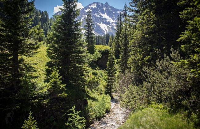 Cosy Apartment Near ski Area - Foto 37