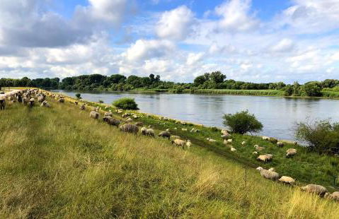 Ferienwohnung "elbRetreat" in Seevetal-Over an der Elbe - Stilvoll wohnen auf Zeit - Foto 44