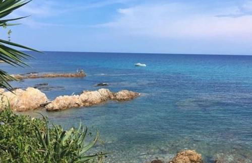 Pieds dans l'eau - La Villa Crique aux tortues - Foto 44