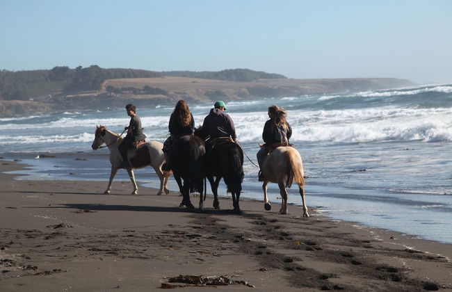 Casa Cliff - Foto 39