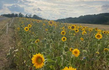 Rosehill Cottage 1699 - Stilvolles Hideaway, Berge & See - Photo 45