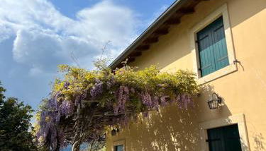 Villa in Valpolicella - Foto 2