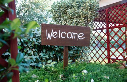 Agroktima Elia - Foto 24