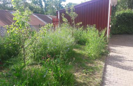 Ferienwohnung Ullrich im Spessart - Foto 32