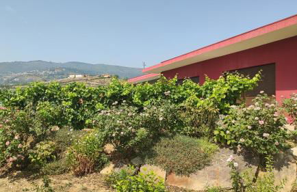 Quinta dos Padrinhos - Suites in the Heart of the Douro - Foto 10