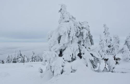 Ferienwohnung Böhme - Photo 12