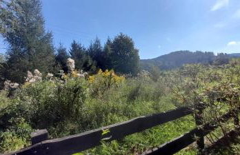 Wysokie Łąki domki w górach - Foto 44