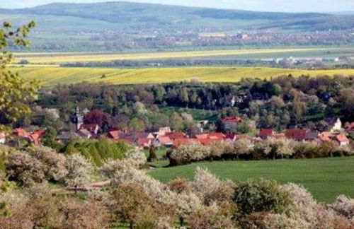 Haus Feldmühle - Photo 16