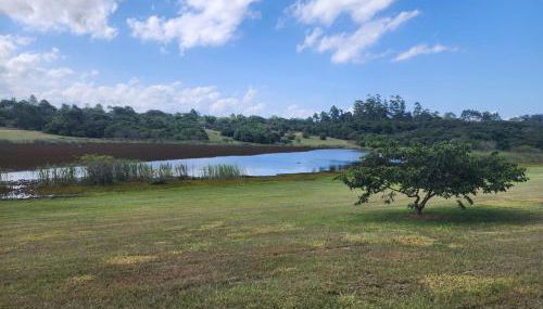 Recanto da paz - Foto 5