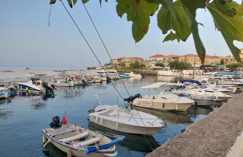 Mani Villa Ilias - Foto 19